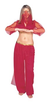 Arab Dancing Girl Halloween Costume