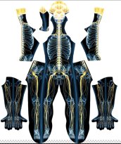 Human Nervous System Printed Spandex Lycra Costume