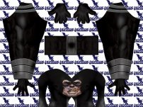 Black Lantern Reverse Flash Printed Spandex Lycra Costume