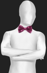 Burgundy Satin Bow Tie Burgundy Satin Bow Tie