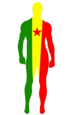Cameroon Flag Spandex Lycra Zentai Suit Cameroon Flag Spandex Lycra Zentai Suit