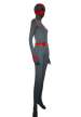 Greed Costume | Dark Grey and Red Spandex Lycra Zentai Suit