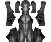 Husky Full Petsuit Printed Spandex Lycra Costume