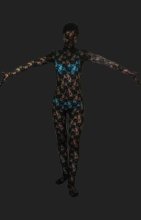 Lace Bodysuit | Black Lace Full Body Suit / Zentai Suit Lace Bodysuit | Black Lace Full Body Suit / Zentai Suit