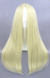 Light Gold Straight Long Wig!