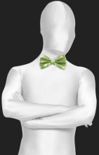 Light Green Satin Bow Tie Light Green Satin Bow Tie
