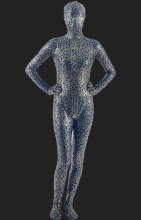 Limited! Black and Gold Pattern Full Body Shiny Metallic Unisex Zentai Suit Limited! Black and Gold Pattern Full Body Shiny Metallic Unisex Zentai Suit