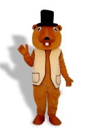 Mr Chipmunk Mascot Costume