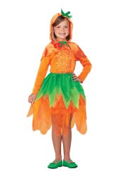 Orange Pumpkin Halloween Costume for Kid