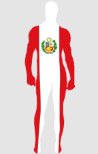 PERU Flag Spandex Lycra Zentai Bodysuit