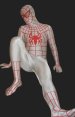 S-guy Red and White Spandex Lycra Full Body Suit