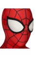 Spiderman ps4 3D Classic Printed Spandex Lycra Costume