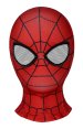 Ultimate Spider-Man Season1 Peter Parker Costume for Kid