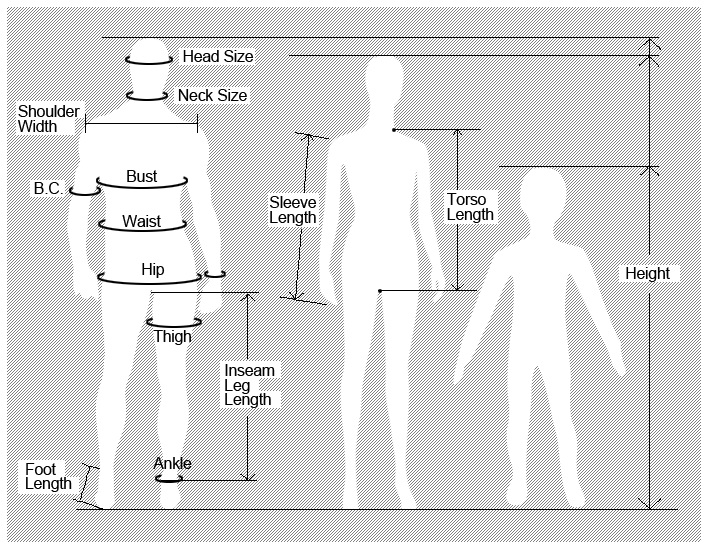 Thigh Body Part Meaning - A Guide To Training Exercise Selection ...